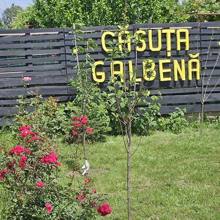 Вілла Casuta Galbena Ефоріє-Норд Екстер'єр фото